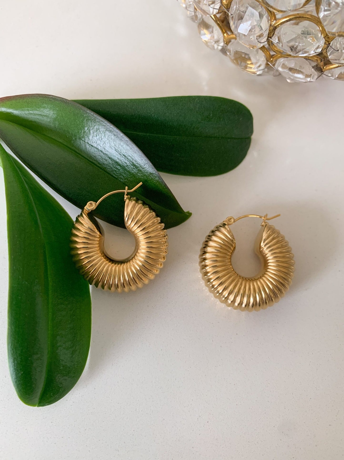 Lulu C Shaped Hoop Earrings (Medium)