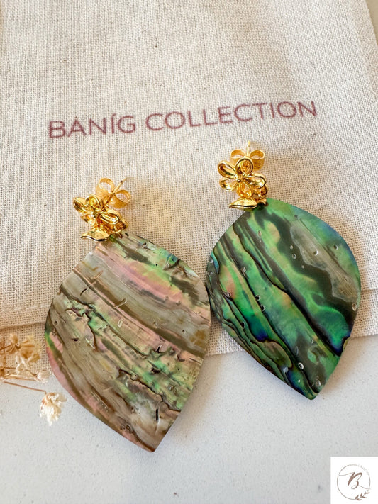 Abalone Teardrop Shell Earrings