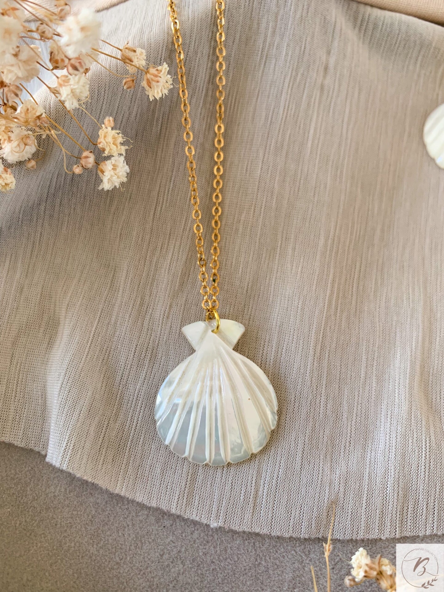 Ida Shell