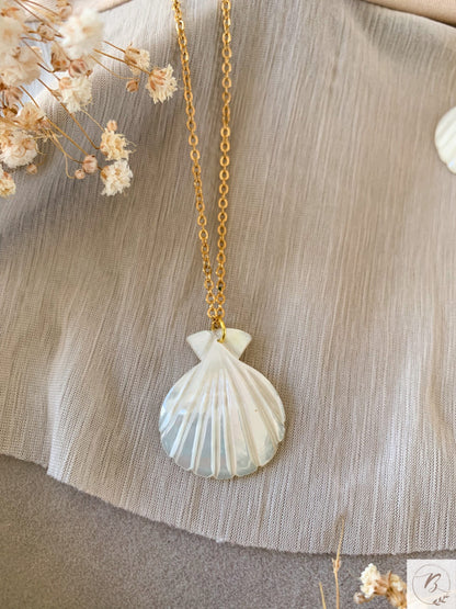 Ida Shell