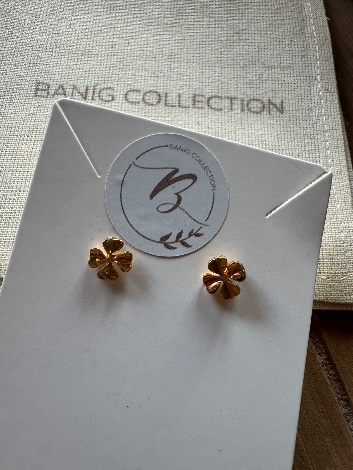 Amy Studs
