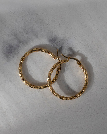 Ilona Hoops