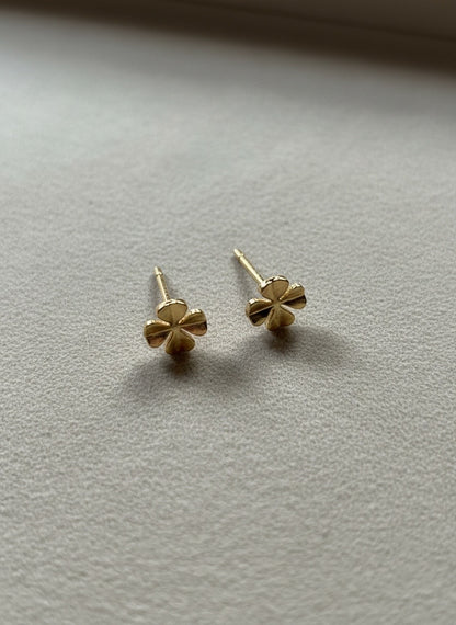Amy Studs