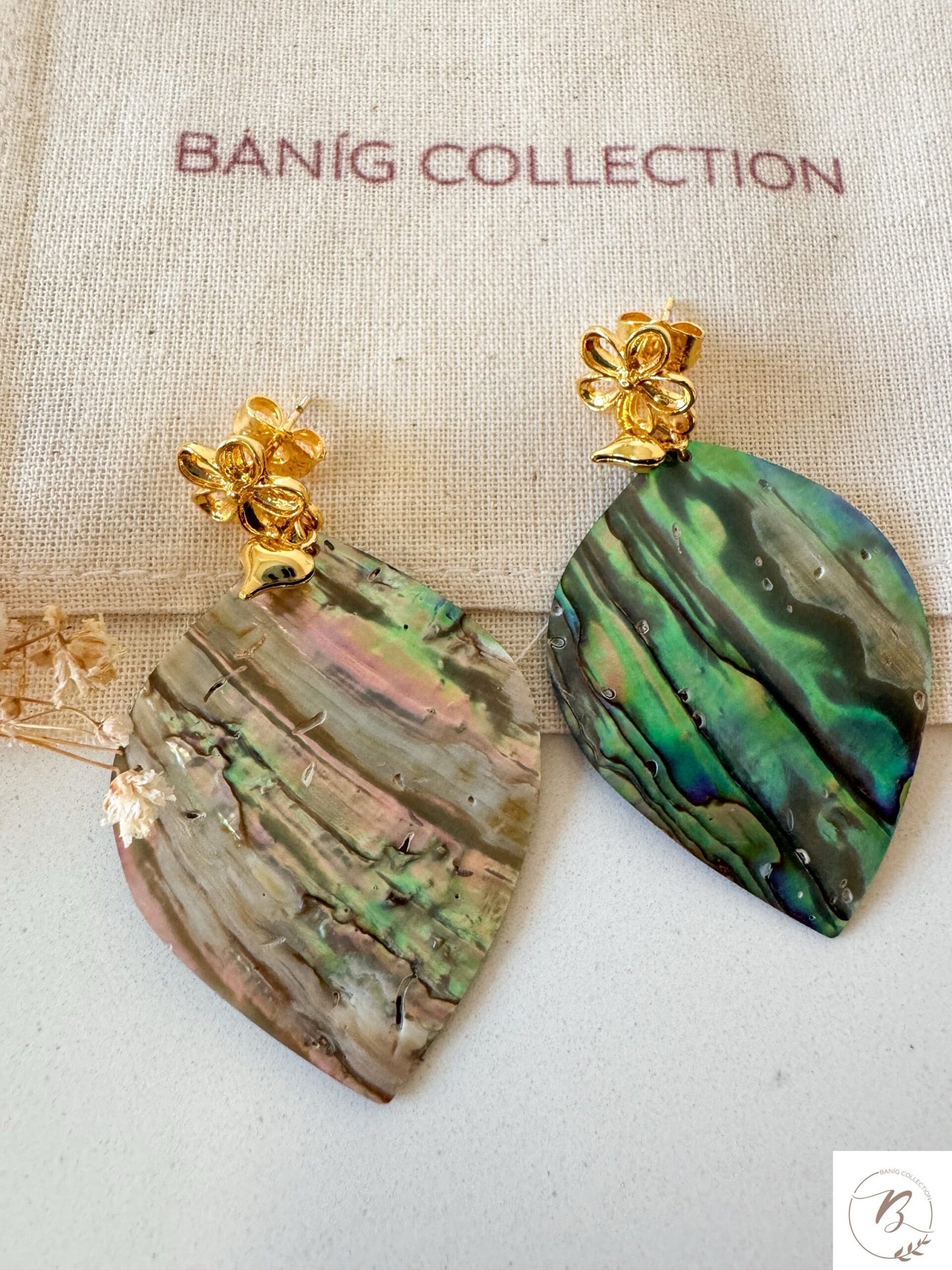 Abalone Teardrop Shell Earrings